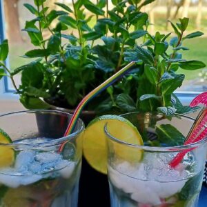 Mojitos