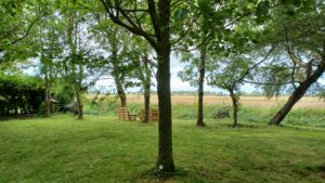 ESPACE DETENTE AU FOND DU JARDIN